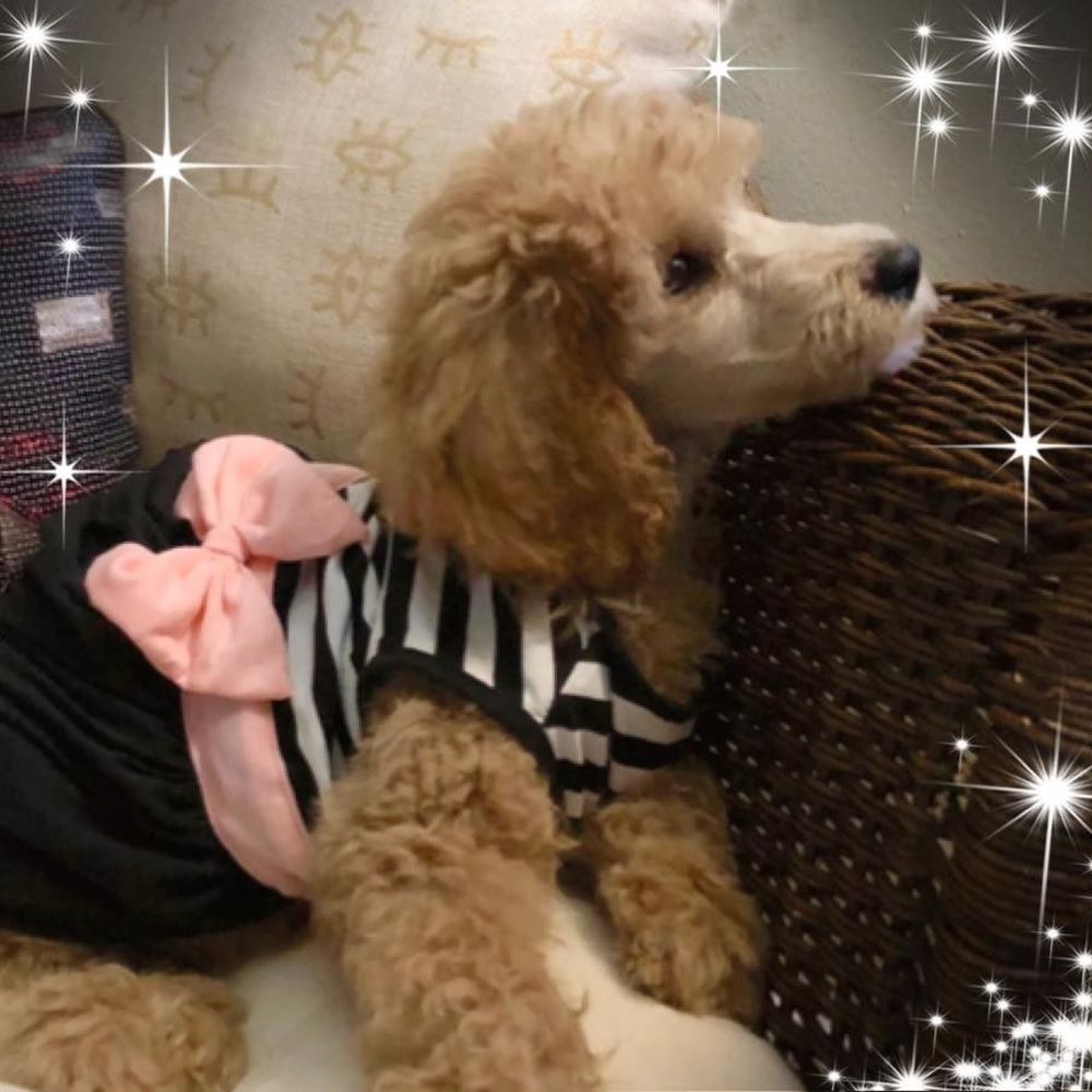 Meet your Posher, Kelly